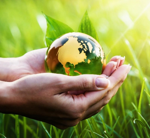 Miljöpolicy - så arbetar Städlux hållbart med flytt och städ